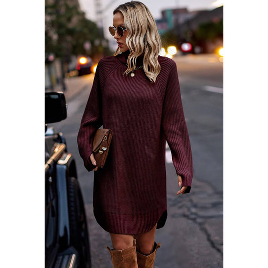 Thick Knit Roll Neck Solid Loose Fit Sweater Dress: Wine / L